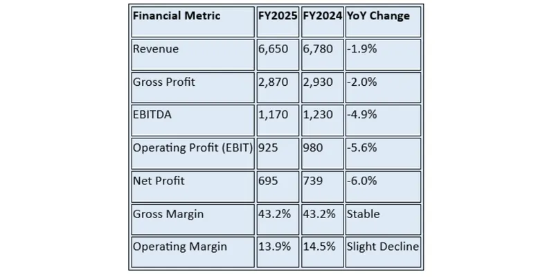 Financial Summary Table